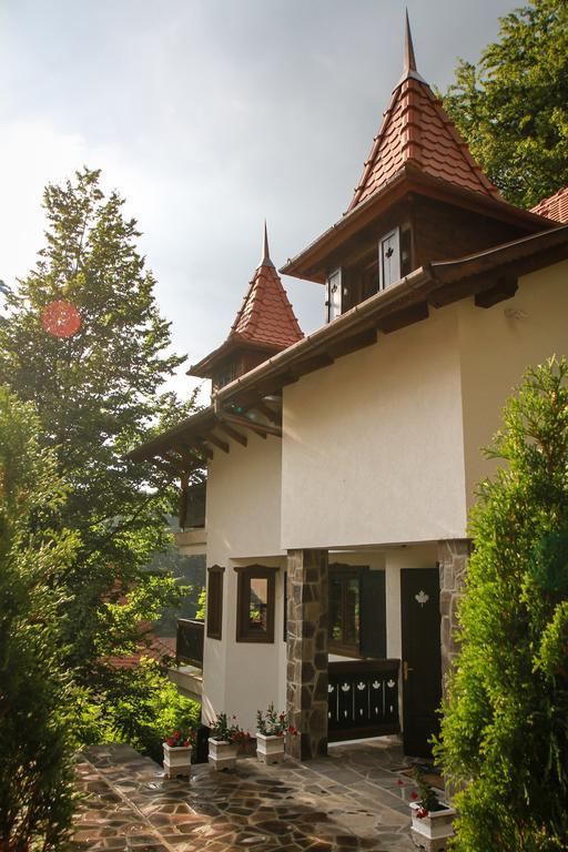 Vila Vista Sovata Εξωτερικό φωτογραφία
