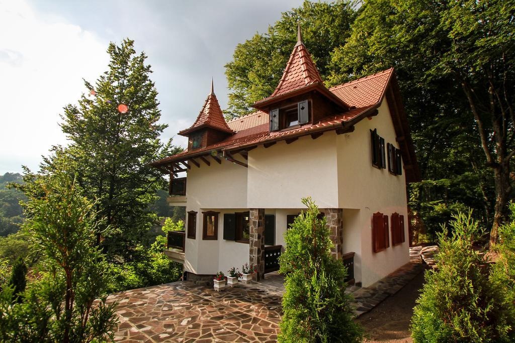 Vila Vista Sovata Εξωτερικό φωτογραφία